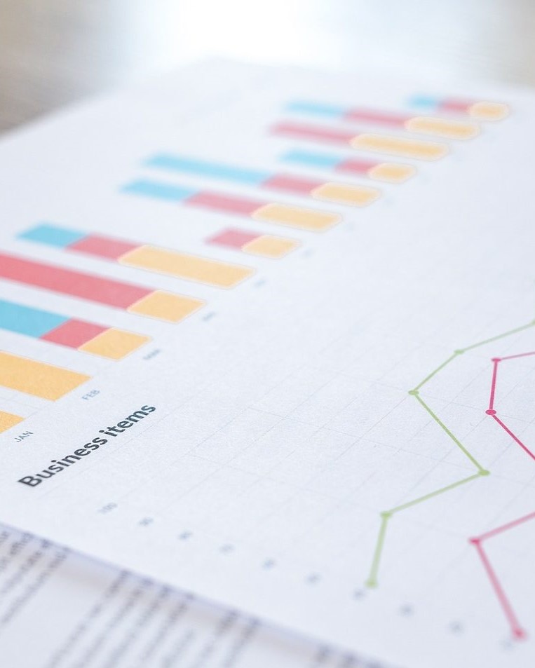 Immagine decorativa di un documento contenente grafici e statistiche